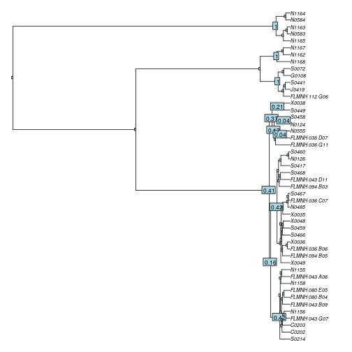 plot of chunk yule-support